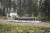 B701_FORREST_0.jpg