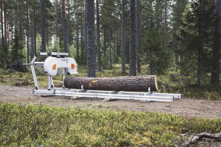B701_FORREST_0.jpg