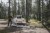 B701_FORREST_1.jpg