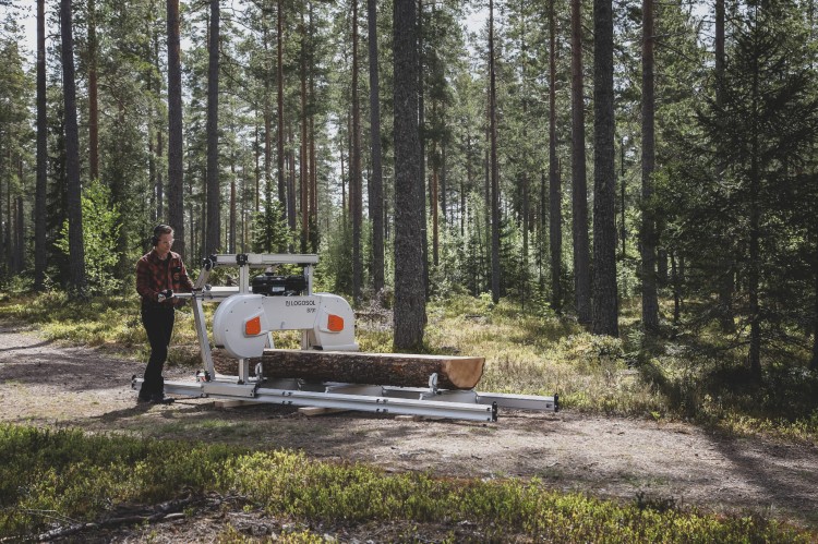 B701_FORREST_2.jpg