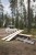 B701_FORREST_7_VERT.jpg