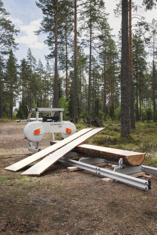 B701_FORREST_7_VERT.jpg