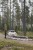 B701_FORREST_11_VERT.jpg