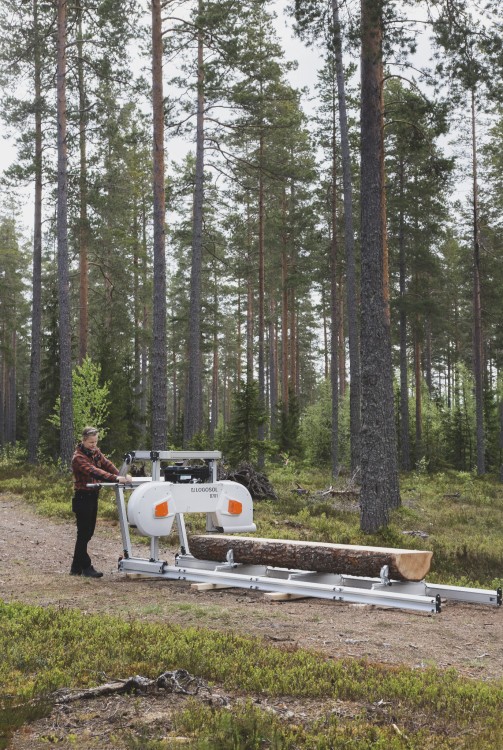 B701_FORREST_11_VERT.jpg