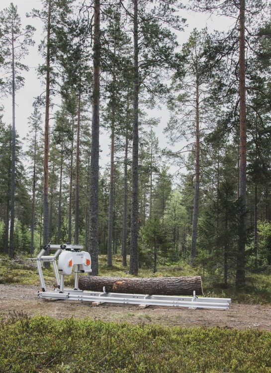 B701_FORREST_12_VERT.jpg