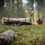 21-SV20.700E Skogsvagn ATV FT42DFR-2T 43.jpeg