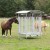 34-fhh8_ny_201006.jpg