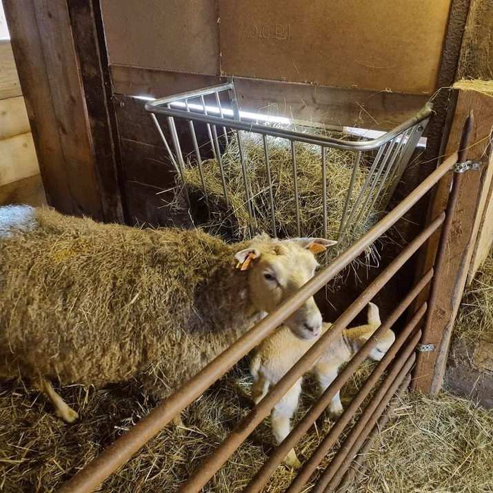 Ścienny paśnik na siano Kellfri 47-3270 – konstrukcja