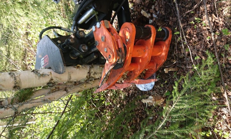 g79.jpg