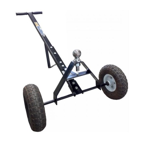 23-dh_dolly_2021_1.jpg